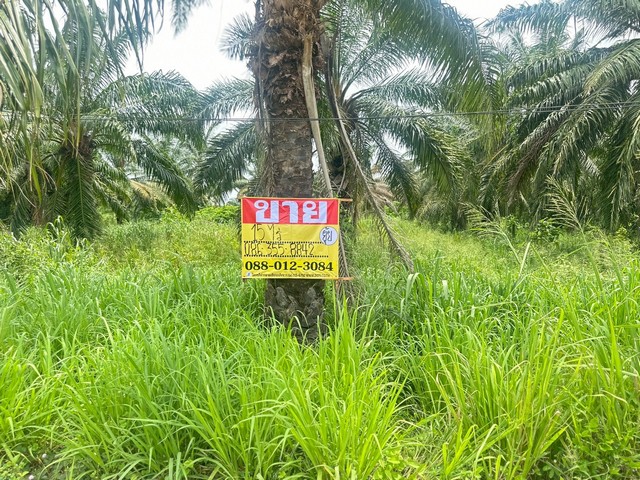 ZT912 ขายที่ดิน ตำบลเขาคันทรงเนื้อที่ 15 ไร่กว้าง 110 เมตร ลึก 220 เมตรที่ตั้ง : ตำบลเขาคันทรง อำเภอศรีราชา จังหวัดชลบุรีสถานที่ใกล้เคียง-อบต.เขาคันทรง-โรงพยาบาลปิยะเวช บ่อวินราคา 54,750,000 บาท / 3,650,000 บาทติดต่อหนุ่ม 0880123084ยุ้ย 0863558842รับฝาก-ขาย บ้านที่ดิน อสังหาริมทรัพย์ทุกประเภทบริษัท เซียน พร๊อพเพอร์ตี้ จำกัด