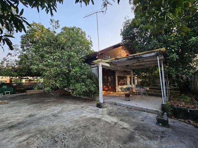 ให้เช่าบ้านเดี่ยว2ชั้นพร้อมที่ดิน202ตรว.แปลงมุมวชิรธรรมสาธิต23ใกล้ร้านส้มตำคุณกัญจ์ราคาเช่า 70,000 - 80,000 บาท / เดือนที่ตั้ง ถนนสุขุมวิท 101/1 ซอยวชิรธรรมสาธิต 23 แขวงบางจาก เขตพระโขนง กรุงเทพมหานครติดต่อ : คุณภัสพงณ์ 0634098164Line : binkem22https://www.facebook.com/profile.php?id=61581484955548เนื้อที่ 202 ตารางวา พร้อมบ้าน 2 ชั้นบ้านทุบรื้อ รีโนเวทได้ตามตกลง มีสวนด้านหน้า ต้นมะม่วงใหญ่ ต้นไม้อื่นซอยทะลุระหว่าง สุขุมว�