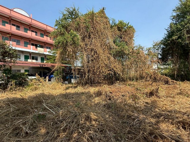 TEL:088-559 5199 คุณเอLine:https://line.me/ti/p/C0eGe0whLXขายที่ดินเปล่า ซอยหมู่บ้านลัดดาเฮ้าส์ ศรีราชา ชลบุรีที่ดินศรีราชา ราคาดี ทรงสี่เหลี่ยมสวย ถมแล้วเหมาะสร้างบ้าน / หอพัก / ลงทุนราคา 2.5 ล้านบาท (ฟรี! ทุกค่าใช้จ่ายวันโอน)รายละเอียดที่ดิน เนื้อที่ 113 ตารางวาหน้ากว้าง ~17.8 ม. ลึก ~23.4 ม.ติดถนนคอนกรีต ไฟฟ้า–ประปาครบทำเลใกล้ชุมชน ที่ดินทรงสวยแบบนี้ในศรีราชา หาไม่ง่ายT : A14 (1203)