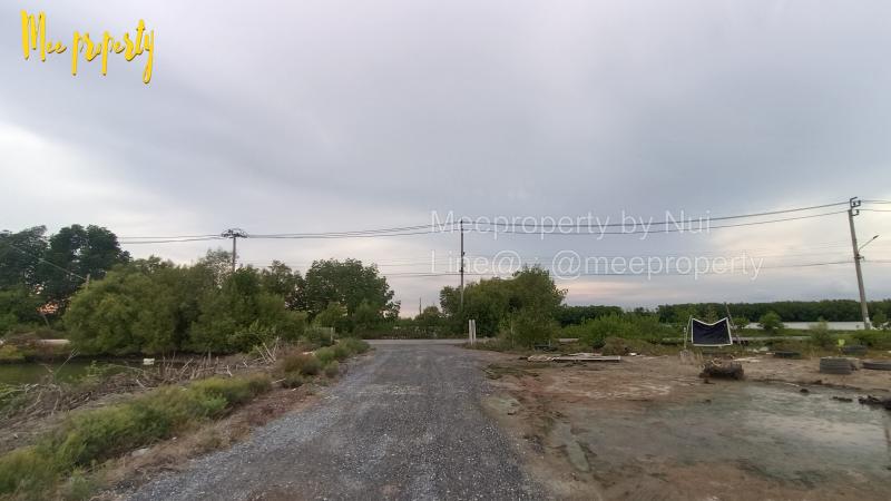 ปล่อยเช่าที่ดินถมแล้ว หลัง มจธ.บางขุนเทียน สามารถเปิดร้านกาแฟ ร้านอาหาร ที่พัก บ่อตกปลา เหมาะสำหรับทำธุรกิจค้าปลีกหรือคลังสินค้า**เปิดโอกาศให้ร้านกาแฟที่มองหาทำเลใกล้มหาวิทยาลัย สามารถมาร่วมลงทุนด้วยกันได้ ****เปิดรับทุกเงื่อนไข**ปล่อยเช่าที่ดินถมแล้ว ติดถนนบางขุนเทียนชายทะเล ซอยเทียนทะเล 23 แยก 2 (ซอยเมฆสุวรรณ)พื้นที่: 2 ไร่  27 ตร.ว. ราคาเช่า: 20,000 บาท/เดือนราย�