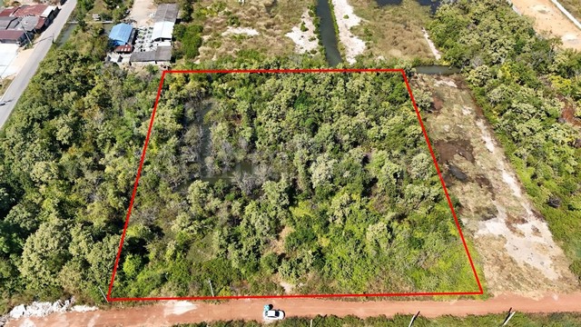 ให้เช่า ขาย บ้านเดี่ยว หมู่บ้านพิชญา ถนนลาซาล ซอยสุขุมวิท 105 ใกล้ MRT ศรีแบริ่ง 300 ม.*** ราคาเช่า 85,000 บาท/เดือน สัญญาเช่า 1 ปี*** ราคาขาย 20,900,000 บาทติดต่อ คุณช่อผกา โทร 0616198565 LINE 0616198565สำรอง LINE 0812523279 ส่งลิ้งก์ไว้ได้เลยรหัส# T26-338บ้านเดี่ยว 2 ชั้น หมู่บ้านพิชญา ลาซาล ใกล้ MRT ศรีแบริ่ง 300 ม.- เนื้อที่ 99 ตร.วา- 4 ห้องนอน 4 ห้องน้ำ- 1 ห้องแม่บ้าน และห้องน้ำแม่บ้าน- ที่จอดรถ 4 คัน- บ้านหัวมุมหัน หันหน้าทิศ�