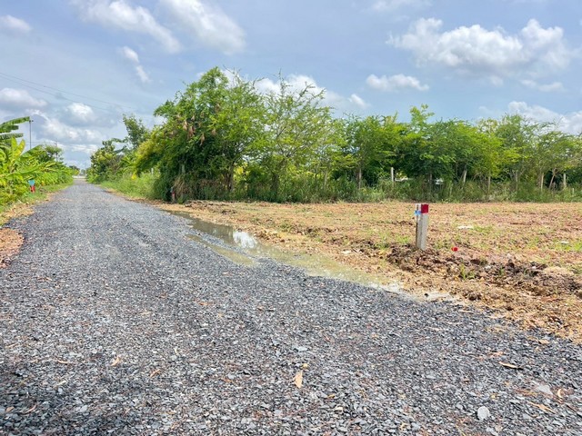 ที่ดินคลองหลวงผ่อนได้5ปี คลอง4คลองหลวง ใกล้ถ.เลียบมอเตอร์เวย์100ม. T. o86-3ol-6l6lสอบถาม/นัดเยี่ยมชม T.วรุณรัตน์ 086-301-6161   o86-3ol-6l6l***ที่ดินคลอง4คลองหลวง  ผ่อนได้5ปี ไม่เช็คเครดิต เข้าจากถ.เลียบมอเตอร์เวย์แค่100เมตร *** #ที่ดินสวยคลองสี่ คลองหลวง ปทุมธานี ห่างถนนเลียบมอเตอร์เวย์ เพียง 100 เมตร คลองซอยที่สี่ฝั่งตะวันตก ที่ดินสวยทำเลดี เดินทางสะดวกไฟฟ้าประปาครบ ถนนสาธารณะหน้าแปลงหน้�