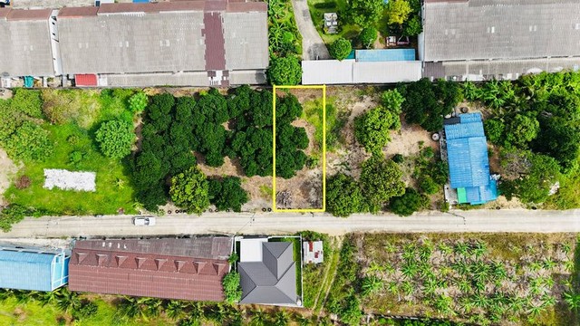 TEL : 092-288 9359 คุณดนิตาLine : https://line.me/ti/p/yxo92dHWP1รายละเอียด : ที่ดินโฉนด ขนาด 67 ตารางวาที่ดินเป็นรูปสี่เหลี่ยมสวยงามหน้ากว้างติดถนน 11 เมตรลึกข้างละ 25 เมตรติดถนนสาธรณะกว้าง 6เมตร (คอนกรีต)ไฟฟ้า,ปะปาพร้อมสาธรณูปโภคครบครัน อาทิเซเว่น,โลตัส,ร้านอาหาร,โรงพยาบาล,โรงเรียน,ห้างเซ็นทรัลใกล้แหล่งชุมชน : - ล้อมรอบด้วยหอพัก และ โครงการหมู่บ้านมากมาย- ใกล้สวนเสือศรีราชาเพียง 400 เมตร - ใกล้ถน�