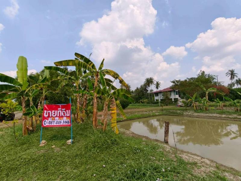 ขายที่ดินพร้อมสิ่งปลูกสร้าง ทำเลทอง ใกล้ถนนพุทธมณฑลสาย 7 และถนนบรมราชชนนี อำเภอสามพราน จังหวัดนครปฐมที่ตั้ง : ตำบลหอมเกร็ด อำเภอสามพราน จังหวัดนครปฐม 73110พิกัด : https://maps.app.goo.gl/QGUrb1QmcQZsK6hj7ขนาดเนื้อที่ : 3 ไร่ 1 งาน 20 ตารางวา รายละเอียด-ที่ดินสวย บรรยากาศดี เหมาะสร้างบ้านพักอาศัย-มีบ้าน 2 ชั้น 1 หลังในพื้นที่ (รวมในราคา)-น้ำ-ไฟเข้าถึง พร้อมใช้งาน-ถนนสาธารณะเข้าถึงสะดวก-ใกล้แหล�