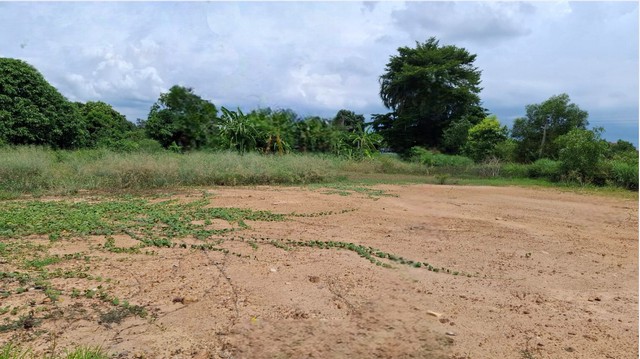 ขายที่ถมแล้ว  200  ตารางวา รูปร่างสี่เหลี่ยมผืนผ้าสวยที่ดินติดถนนซอยสาธารณะ มีน้ำประปาภูมิภาค ไฟฟ้าสามเฟส ผ่านหน้าแปลงที่ดิน พร้อมใช้  ถนนหน้าแปลงที่ดิน สามารถเชื่อมต่อไปยัง ถนนทางหลวงสายหลักได้หลายเส้นทาง เช่น ถนน 331 (สัตหีบ-กบินทร์บุรี)  , ถนน 3304 (บ้านโพธิ์ - แหลมประดู่ ) และ ถนน 315  ( พนัสนิคม - ฉะเชิงเทรา )ถนนซอย ผิวจราจรทำด้วยคอนกรีต กว้าง 6.20 เมตร รถวิ่งสวนกันสะดว�