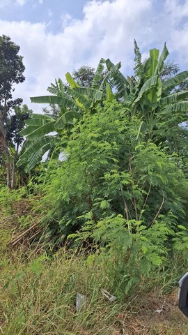 ขายที่ถมแล้ว เนื้อที่ 6 ไร่เศษที่ดินมีรูปร่างสี่เหลี่ยมสวยอยู่ใกล้อ่างเก็บน้ำรัชโลทรมีถนนสาธารณะ และไฟฟ้า ผ่านหน้าแปลงที่ดิน พร้อมใช้ราคาขายยกแปลง  3.6  ล้านบาท( หรือเฉลี่ยไร่ละ  527,665 บาท เท่านั้น )ค่าโอนกรรมสิทธิ ผู้ขายออกให้ทั้งหมด**สนใจดูที่ดินจริง รบกวนนัดล่วงหน้าอย่างน้อย 1 วันค่ะ**ติดต่อ ภญ.เทเรซา สิทธิพล (คุณมด) โทร (ไลน์). 081-3305497, โทร.(ไลน์) 061-5765520เรียนจบธุรกิจท�