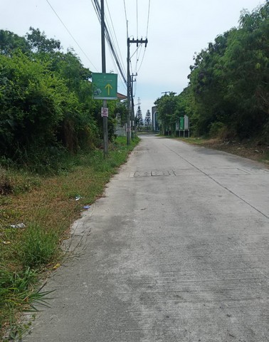 ขายที่ดิน 60 ตรว. ถมแล้ว อยู่ในซอยห้วยกะปิ 12 , 13 และ 16  ปากซอยเป็นที่ตั้งของ ห้างไทวัสดุ แปลงที่ดินอยู่ใกล้หมู่บ้าน ไลฟ์ อินเดอะการ์เด้นท์ (Life In The Garden) และอยู่ติดกับหมู่บ้าน บัลโคนี่ ( Balcony ) น้ำไม่ท่วม ที่ดินมีรูปร่างสี่เหลี่ยมผืนผ้าสวย มีด้านกว้างติดถนนซอยสาธารณะ 15 เมตรด้านยาว 16 เมตร ถนนซอยสาธารณะนี้ แยกเข้ามาจากซอยห้วยกะปิ 13 ระยะที่แยกจากปากซอย เข้ามาถึงแปลงที่ดิ�