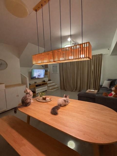 ให้เช่าทาวน์โฮม โครงการ พลีโน่ บางนา-อ่อนนุช ซอยกิ่งแก้ว 37 บ้านสวย บรรยากาศดี ทำเลสะดวก พร้อมเข้าอยู่ ใกล้สนามบินสุวรรณภูมิ*** ราคาเช่า 16,000 บาท/เดือนติดต่อ คุณช่อผกา โทร 0616198565 LINE 0616198565สำรอง LINE 0812523279 ส่งลิ้งก์ไว้ได้เลยรหัส# T26-373ทาวน์โฮม 2 ชั้น พลีโน่ บางนา-อ่อนนุช ซอยกิ่งแก้ว 37บ้านสวย บรรยากาศดี ทำเลสะดวก พร้อมเข้าอยู่- พื้นที่ใช้สอย 106 ตร.ม.- 3 ห้องนอน- 2 ห้องน้ำ* มี 1 ห้องทำเป็น�