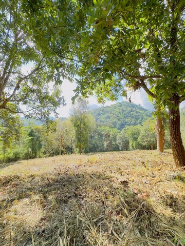 ขายยกแปลง 10 ล้าน ที่ดินวิวเขา #โป่งแยง #แม่ริม 2 ไร่ 67 ตรว. #ใกล้ทางขึ้นม่อนแจ่ม  ทำเลศักยภาพ ท่ามกลางธรรมชาติ รายล้อมด้วยแหล่งท่องเที่ยวชื่อดังของ #ม่อนแจ่ม และโซนยอดนิยมของ แม่ริม ขนาดที่ดิน: 2 ไร่ 67 ตารางวา (โฉนดพร้อมโอน) ราคา: 10,000,000 บาทค่าโอนกรรมสิทธิ์: เจ้าของออกให้จุดเด่นที่น่าสนใจที่ดินเนินดอย วิวดอยสวย บรรยากาศธรรมชาติเต็ม 100%หน้ากว้างติดถนนคอนกรีต รถเข้า-อ