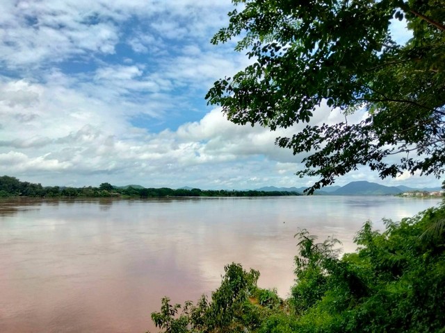 รหัสทรัพย์: M650535โอกาสทองสำหรับนักลงทุนและผู้ที่มองหาที่ดินศักยภาพสูง วิวหลักล้าน มองเห็นแม่น้ำโขงแบบพาโนรามา ตั้งอยู่ในทำเลท่องเที่ยวชื่อดังของ เชียงคาน จังหวัดเลย แหล่งท่องเที่ยวยอดนิยมระดับประเทศ???? รายละเอียดที่ดินเนื้อที่รวม 3 ไร่ 1 งาน 43 ตารางวาทำเลติดรีสอร์ท และใกล้โรงแรมระดับ 5 ดาววิวแม่น้ำโขงแบบเปิดโล่ง บรรยากาศธรรมชาติเหมาะสำหรับพัฒนารีสอร์�