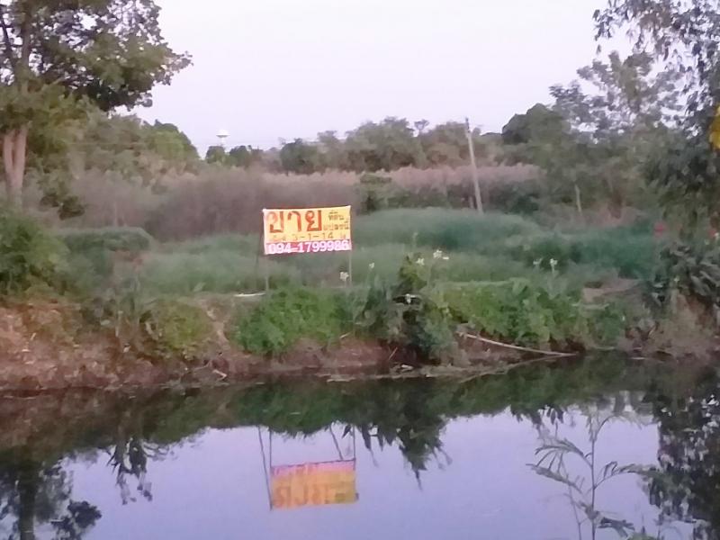 ##ขายที่ดินเปล่า 3-1-14 ไร่ ทำเลสวย ใกล้ บ.เวิร์คพอยท์, ม.ธรรมศาสตร์ อ.เมือง จ.ปทุมธานีโซน : เวิร์คพอยท์ อ.เมืองปทุมธานีที่ตั้ง :  ถนนเลียบคลองเปรมประชากร  ต.บางพูด  อ.เมืองปทุมธานี  จ.ปทุมธานี   12000ลักษณะโดยทั่วไป- ขายที่ดินเปล่า ทำเลสวย, ทำเลศักยภาพ, ศูนย์กลางเศรษฐกิจค้าขาย, การลงทุน- เนื้อที่  3-1-14 ไร่,  ใกล้สถานีรถไฟเชียงราก- หน้ากว้าง 75 เมตร ลึก 82 เมตร- เลสวยใกล้ บ.เวิร์คพอยท์