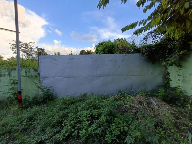   ขาย บ้านเดี่ยว/ทาวน์เฮ้าส์/คอนโด โครงการ ขาย โกดัง ลำปลายมาศ บุรีรัมย์   ถนน ลำปลายมาศ-นางรอง (2073) ตำบล หนองโดน อำเภอ ลำปลายมาศ จังหวัด บุรีรัมย์  ราคาโปรโมชั่น  1,177,000    บาท    ลดจาก  1,285,000    บาท  ราคาโปรโมชั่นตั้งแต่วันที่  2 มีนาคม - 31 พฤษภาคม 2569  รายละเอียดทรัพย์ -  เนื้อที่ 0001-3-82.0   พื้นที่ใช้สอย 354.00 ตร.ม. -  บ้านหันไปทางทิศ  ตะวันตกเฉียงเหนือ  พิกัดทรัพย์ : https://maps.app.goo.gl/UosQUwDW5n9JXPfbA  สถานที่ใกล้