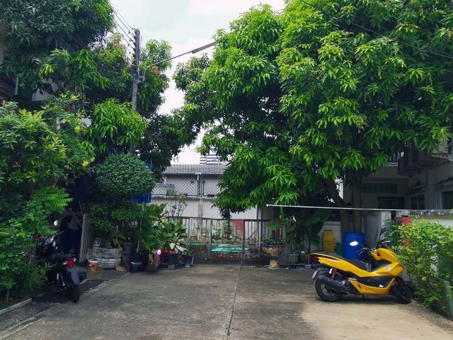 ขาย บ้านเดี่ยว/ทาวน์เฮ้าส์/คอนโด โครงการ ขาย ทาวน์เฮ้าส์ ภูเก็ตแอดทาวน์ ภูเก็ต   ถนน สุรินทร์ ตำบล ตลาดใหญ่ อำเภอ เมืองภูเก็ต จังหวัด ภูเก็ต  ราคาโปรโมชั่น    3,055,000  บาท    ลดจาก  3,360,000    บาท ราคาโปรโมชั่นตั้งแต่วันที่  2 มีนาคม - 31 พฤษภาคม 2569  รายละเอียดทรัพย์ -  เนื้อที่ 45.50 ตร.ว. พื้นที่ใช้สอย 163.00 ตร.ม. -  2ห้องนอน  2ห้องน้ำ  -  1ที่จอดรถ  -  บ้านหันไปทางทิศ  เหนือ  พิกัดทรัพย์ : https://maps.app.goo.gl/qdjjGkzjkDm