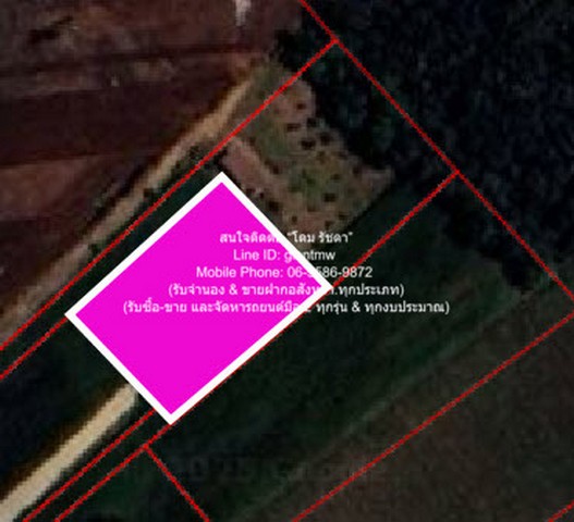 DSL-364.3สนใจติดต่อ: โดม รัชดา (Exclusive Contract)โทร: 065-586-9872ไลน์ไอดี: 0655869872 หรือ giantmw หรือ @yem0202nFacebook: https://bit.ly/3vdegO8Fanpage: https://bit.ly/488TrlDพิเศษ: รับซื้อ-ขาย และจัดหารถยนต์มือ 2 ทุกรุ่น & ทุกงบประมาณ.ขายที่ดินไร่สวนทางการเกษตร (ติดถนน และติดเขา) 1-0-0 ไร่ (400 ตร.ว.) ราคา 530,000 บาท (โอนฟรี).รายละเอียดทรัพย์: 1. ที่ดินไร่สวนทางการเกษตรรูปทรงอิสระติดถนน เป็นโฉนด (น.ส.4 จ) ต.วังหิน อ.บ้านไร่ จ.อุทัยธานี ที่มีเนื้อที่ 1-0-0 ไร่ (400 ตร.ว.
