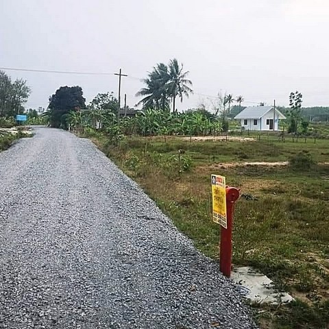 #ขายที่ดินหนองขนาดพนัสบ้านบึงชลบุรี#ขายที่ดินเชลบุรีเจ้าของขายเอง#ขายที่ดินชลบุรีราคาถูก 3 งาน 19 ตารางวา#ขายที่ดินหนองขยาดบนเนื้อที่ 319 ตรว????ราคาเพียง 1.29 ลบ✅ที่ดินอยู่แหล่งโรงงาน✅ที่ดินพร้อมโอน✅มีน้ำ มีไฟฟ้า พร้อมติดต่อสอบถาม☎️081-459-0982 ลฎา☎️098-9955449☎️085-422-6346 admin????ID line: ladapa23 #ขายที่ดินแบ่งล๊อค #ขายที่ดินพนัส #ขายที่ดินมาบไผ่ #ขายที่ดินหนองขนาดพนัสบ้านบึงชลบุรี#ขายที่ดิน