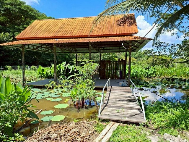 ราคาสุดคุ้มเพียง 1.95 ล้าน เท่านั้น! #โซนแม่แตง 341 ตรว. โอกาสทอง! บ้านพร้อมที่ดินผืนใหญ่ #ริมน้ำ #วิวดอย บรรยากาศดีมาก ขายบ้านพร้อมที่ดินขนาดใหญ่ทำเลดี ติดถนนเลียบคลองชลประทาน แม่แตง เชียงใหม่เหมาะอยู่อาศัย / บ้านพักผ่อน / ทำโฮมสเตย์ / ลงทุนระยะยาวจุดเด่นทรัพย์• เนื้อที่ 341 ตารางวา (พื้นที่กว้างมาก)• บ้านติดริมน้ำ บรรยากาศธรรมชาติ เงียบสงบ• วิวดอย สวย โล่ง อากาศดี�