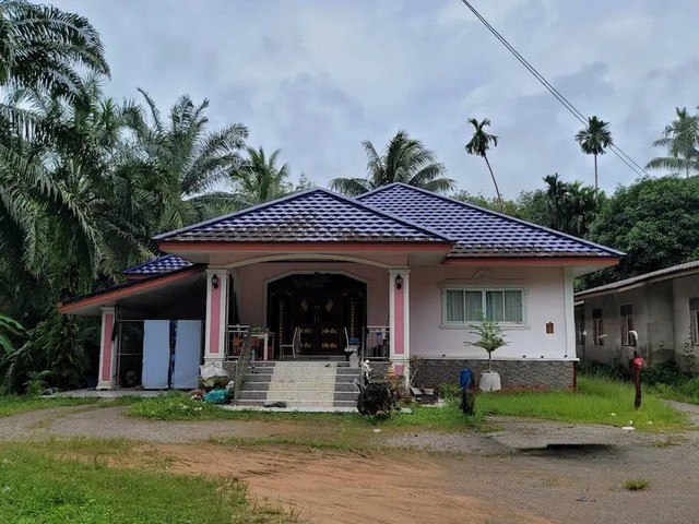    ขาย บ้านเดี่ยว ทับปุด จังหวัดพังงา ราคาโปรโมชั่น ลดพิเศษ  ถนน ทับปุด-บางเหรียง  ตำบล บางเหรียง อำเภอ ทับปุด จังหวัด พังงา  ราคาโปรโมชั่น   3,995,000    บาท    ลดจาก  4,894,000  บาท ราคาโปรโมชั่นตั้งแต่วันที่  2 มีนาคม - 31 พฤษภาคม 2569  รายละเอียดทรัพย์ -  เนื้อที่ 235.00 ตร.ว.  พื้นที่ใช้สอย 253.00 ตร.ม. -  1 ห้องนอน  -  บ้านหันไปทางทิศตะวันออก  พิกัดทรัพย์ : https://maps.app.goo.gl/y9LKjbnfu333FTkC8  สถานที่ใกล้เคียง   -  วัดราษอุปถั