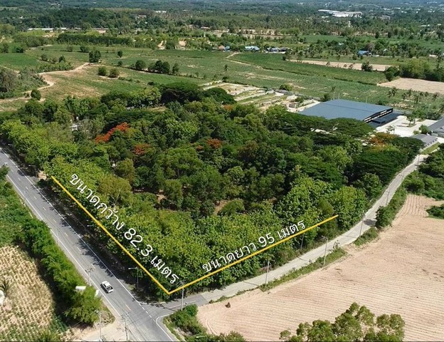 TEL : 092-288 9359 คุณดนิตาLine : https://line.me/ti/p/yxo92dHWP1รายละเอียด : เนื้อที่ขนาด 4-3-54.8 ไร่ (1,954.8 ตรว.)(พื้นที่สีเหลือง) น้ำ พร้อม (น้ำประปา / น้ำบาดาล)  ไฟฟ้า พร้อม ติดถนน 2 ด้าน ด้านหน้าติดถนนสันติคาม กว้าง 82.3 เมตรด้านข้างติดถนนทางหลวงชนบทยาว 95 เมตรบริเวณด้านในจะเป็นสวน ออแกนิค (Organic) มีต้นมะม่วงหิมมะพานต์ มะม่วง ต้นสัก ต้นกระถิน ต้นตะเคียนระดับความสูงต่ำกว่าพื้นถนนประมาณ 1 .20 เมตร  เหมาะกับการปลู