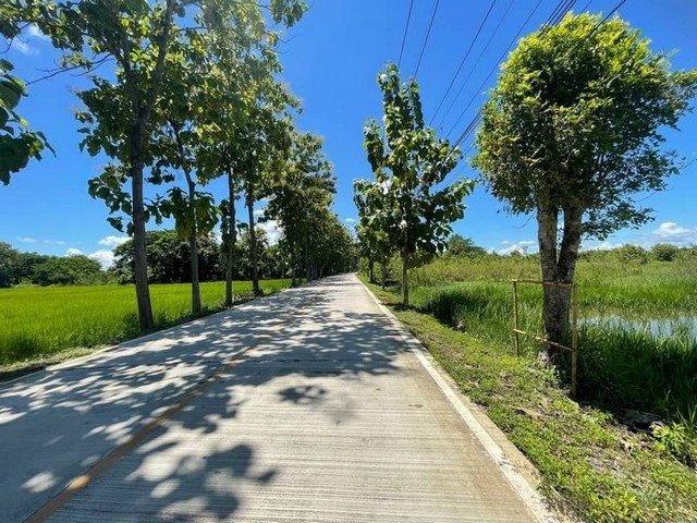 #โซนสันกำแพง ขายตรว.ละ 5,700 บาท 1 ไร่ #ที่นา #แม่ปูคา #วิวสวย #ติดถนนคอนกรีต มี น้ำ ไฟ #ใกล้เทศบาลแม่ปูคา เพียง 200 เมตร ห่างจากตัวเมืองเพียง 20 กม. ขายตารางวาละ 5,700 บาท ค่าโอนคนละครึ่ง บริ​การยื่น​สินเชื่อ​ทุก​ธนาคาร​ฟรี​ ไม่มีค่าใช้จ่ายเอกสารที่ใช้ยื่นแบงค์สำหรับพนักงาน​ทำงานประจำ1. สำเนาบัตรประชาชน2. สำเนาทะเบียนบ้าน3. สลิปเงินเดือน 3 เดือนล่าสุด (ถ้าเงินเดือนไม่เท่า�