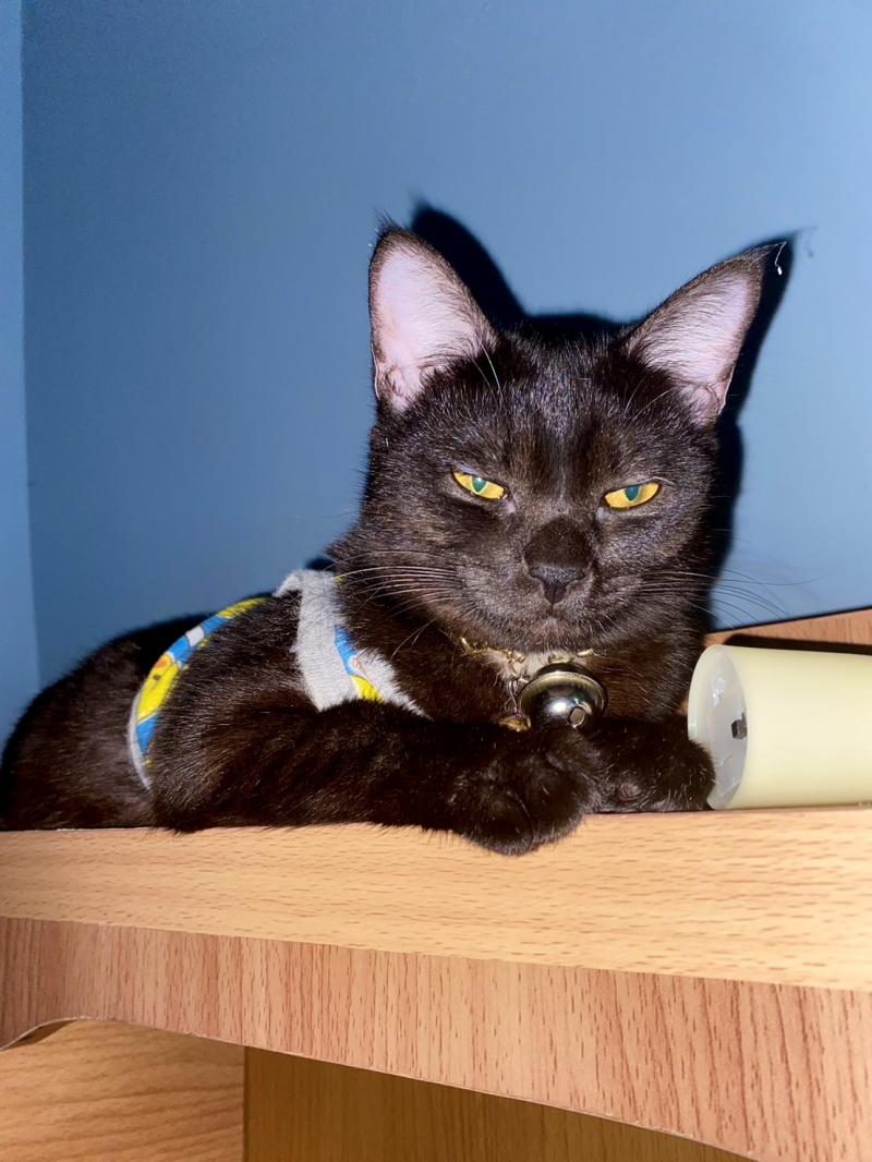 ZCT043Pleno สุขสวัสดิ์ 30 (โครงการ 2) ทาวน์โฮมสภาพใหม่ 17.5 ตร.ว. พร้อมเฟอร์นิเจอร์ เชื่อมต่อเส้นทางหลัก ทั้งถนนสุขสวัสดิ์, พุทธบูชา, ประชาอุทิศ และสาทร-พระราม 3  สัมผัสชีวิตที่ลงตัวในบ้านที่ออกแบบมาเพื่อความผ่อนคลายอย่างแท้จริง เชื่อมต่อทุกความสะดวกสบายบนทำเลศักยภาพที่รองรับทั้งการพักผ่อนและการทำงานทาวน์โฮม 2 ชั้น สภาพใหม่ในโครงการ Pleno สุขสวัสดิ์ 30 (โครงการ 2) ที่พร้อม�