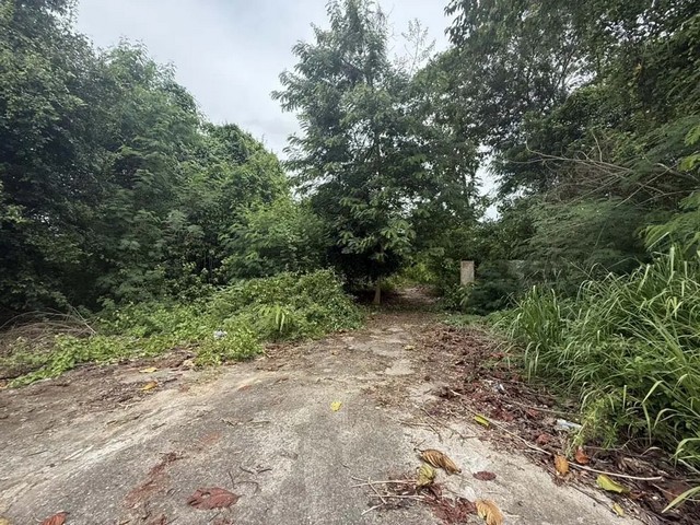    ขาย โรงงาน พนัสนิคม จังหวัดชลบุรี ราคาโปรโมชั่น ลดพิเศษ  ซอย บ้านหนองยาง 26 ถนน สายบ้านเนินหลังเต่า-บ้านหนองเสม็ด   ตำบล หมอนนาง อำเภอ พนัสนิคม จังหวัด ชลบุรี  ราคาโปรโมชั่น   3,527,000  บาท    ลดจาก  5,600,000  บาท ราคาโปรโมชั่นตั้งแต่วันที่  2 มีนาคม - 31 พฤษภาคม 2569  รายละเอียดทรัพย์ -  เนื้อที่ 1600.00 ตร.ว.   พื้นที่ใช้สอย 2917.00 ตร.ม. -  เดิมมีสภาพเป็นโรงงาน ปัจจุบันชำรุดทรุดโทรม ใช้ประโยชน์ไม�