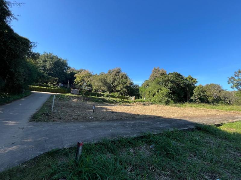 ขาย / ให้เช่าที่ดินเปล่า ทำเลทอง หลัง มช. (ใกล้ มหาวิทยาลัยเชียงใหม่)