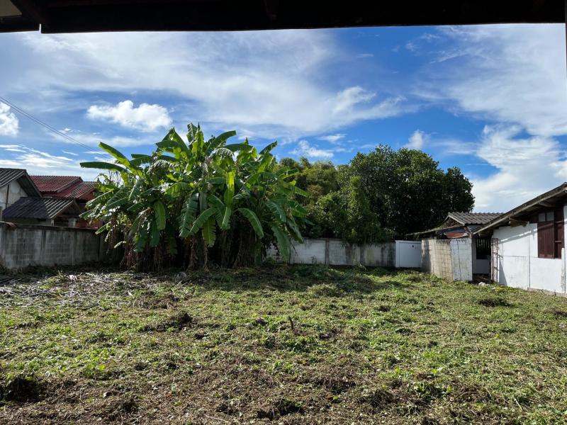 ขายที่ดินพร้อมบ้าน 2 หลัง ใกล้เมืองเชียงใหม่ (สันป่าตอง)