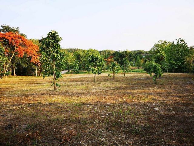 #โซนน้ำแพร่ ขายเริ่มต้นตรว.ละ 8,000 บาท 6-3-49.6 ตรว. #หางดง ที่ดินสวย #ติดน้ำ #วิวภูเขา ล้อมรอบด้วยธรรมชาติ ไม่ไกลเมือง #ติดถนน ทางไป #อุทยานแห่งชาติออบขานเนื้อที่รวม 6 ไร่ 3 งาน 49.6 ตรว.ราคาขายรวม 21,996,800 บาทอยากได้อสังหาโซนไหน สอบถามเข้ามาได้เลยm.me/northernlandchiangmai  ต้องการอสังหาแบบไหนที่ Northern Land Chiangmaiเรามีครบ ครอบคลุม #ทั่วเชียงใหม่ ไม่ว่าจะเป็น#พูลวิลล่า #บ้านใหม่ #บ้านมือสอง #บ้านเช่า #คอ�