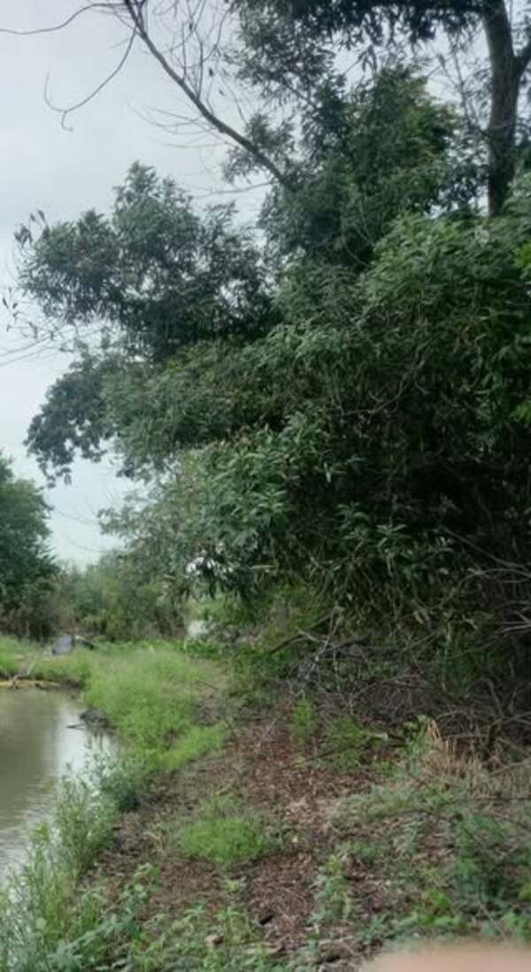 #C027790ขายด่วนทีดินเปล่า ขนาด1ไร่ตำบล บ้านแถว อำเภอเสนาจังหวัดพระนครศรีอยุธยาขนาดพื้นที่1600ตรม.กว้าง36ตรม.ลึก49ตรม.#ใกล้รร .เซ็นต์จอห์น ชุมชน, ตลาด,โบสถ์ ฯลฯบรรยากาศเงียบสงบ เหมาะพักอาศัย #ใกล้ถนนหลัก8เลนส์คมนาคมสะดวกได้หลายทางฯราคาปรับลงพิเศษ จาก800,000บาทขายราคา300,000บาท095-468-1991 กนกภรณ์(แหม่ม)Realty One Estate (Thailand) co.,Ltd.