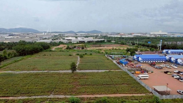 #ให้เช่าที่ดิน #ขายที่ดินปลวกแดงระยอง➡️ที่ดินให้เช่า 26 ไร่➡️ที่ดินขาย 30 ไร่♒พื้นที่สีม่วงลาย????อำเภอปลวกแดง จังหวัดระยอง???? เหมาะสำหรับ: โรงงาน | โกดัง | คลังสินค้า | Logistics Hub✅ แปลงเช่า | ที่ดิน 26 ไร่ ???? ทางเลือกสายลงทุน ใช้พื้นที่ใหญ่ ไม่ต้องซื้อ!????ทำเลใกล้นิคมอุตสาหกรรม????รองรับธุรกิจโรงงาน / โกดัง / ลานเก็บสินค้า????ค่าเช่าไร่ละ 10,000 บาท/เดือน✅แปลงขาย | ที่ดินม่วงลาย 30 ไร่ (�