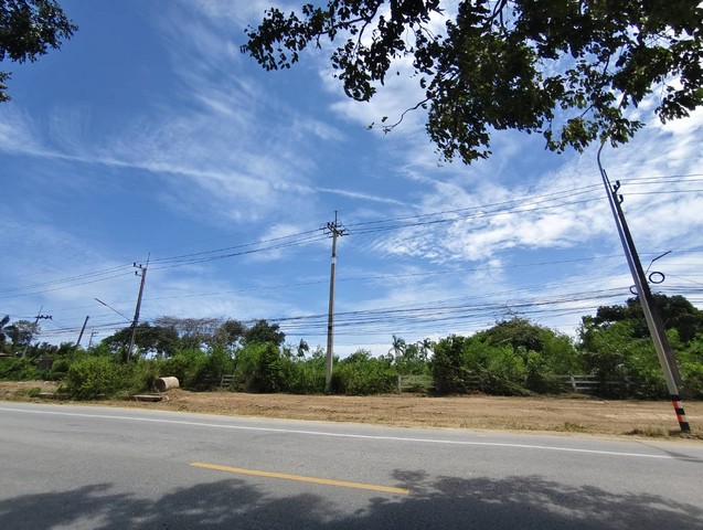 ขายที่ดินพัทยา 31 ไร่ 2 ตรว. ต.หนองปรือ อ.บางละมุง จ.ชลบุรี#ขอบอ่างเก็บมาบประชัน วิวมุมสูง (Prime Location Pattaya)หน้าแปลงติดถนนเส้นหลัก กว้างกว่า 100 ม. เหมาะสร้างโครงการจัดสรร Luxury เหมาะสร้างบ้านหรู Pool villa #เส้นทางเข้าถึงตำแหน่งที่ดินดังนี้*ถนนหมายเลข3 เส้นสุขุมวิท*ใช้เส้นทางหนองปรือ สยามคันทรีคลับ เนินพลับหวาน เข้าถึงตำแหน่งที่ดิน*ใกล้ทางด่วนมอเตอร์เวย์สาย7 ออกได้ถึง2สถานีค่�