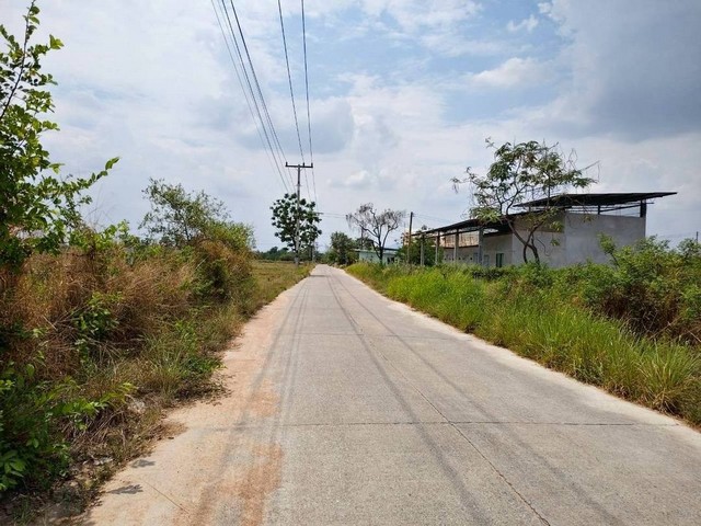 #ให้เช่าที่ดินพานทองชลบุรี#ให้เช่าที่ดินเปล่า 60 ไร่????ต.หนองหงษ์ อ.พานทอง จ.ชลบุรี????ไร่ละ 8,500 บาท/เดือน____________________________สนใจติดต่อ/ชม☎️081-459-0982 ลฎา☎️098-995-5449☎️085-422-6346 แอดมินAddLineID: ladapa23WeChat:love_ propertyค้นหาทรัพย์เพิ่มเติมhttps://www.facebook.com/share/1a3VNy8RkM/https://www.facebook.com/share/17cJzNwyvm/_____________________________#ให้เช่าที่ดินพานทองชลบุรีta #ขายโรงงานชลบุรี #บ้านดีบ้านสวยชลบุรี #ขายบ้านชลบุรีอมตะนิคมบางแสน #ขายบ้านดีชลบุรีbyลฎาภา