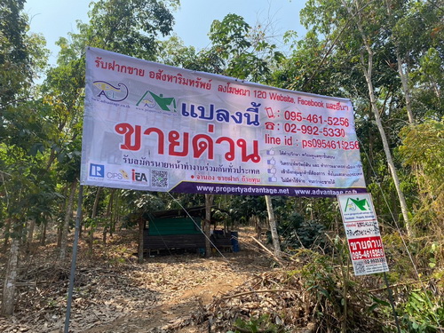 1349.ขายที่ดินสวนยาง ขนาด 40-1-39 ไร่ กรีดขายได้แล้ว ทำเลดี วิวแม่น้ำโขง - จังหวัดหนองคาย2602ACL2047ลดราคาขายด่วน!! ที่ดินสวนยางขนาด 40-1-39 ไร่ ตั้งอยู่ในทำเลดีเยี่ยม หน้ากว้าง 197 เมตร ลึก 300 เมตร ที่ดินติดถนนหลัก ทางหลวงแผ่นดินสายสังคม-ปากชม (211) มองเห็นวิวแม่น้ำโขงและสามารถมองเห็นประเทศลาว•เหมาะสำหรับการพัฒนาเป็นรีสอร์ท, โครงการบ้านจัดสรร หรือซื้อเก็งกำไรในอนาคต•สามารถดำเ