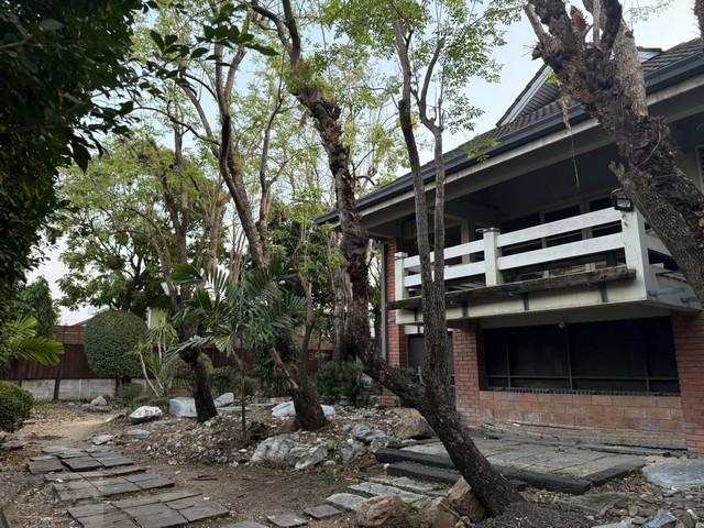 ให้เช่าบ้านเดี่ยว 2 ชั้น 200 ตรว. ซอยลาดพร้าว 128 ใกล้รถไฟฟ้าสถานีลาดพร้าว 101 เหมาะสำหรับทำโฮมออฟฟิศ ร้านอาหาร คาเฟ่ติดต่อ:: ชยา โทร/ID Line:: 0942823961Link Line:: https://line.me/ti/p/3xFA1An8Kcรหัส# T26-522บ้านเดี่ยว 2 ชั้น ซอยลาดพร้าว 128 ใกล้รถไฟฟ้าสถานีลาดพร้าว 101 เหมาะสำหรับทำโฮมออฟฟิศ ร้านอาหาร คาเฟ่ หรืออยู่อาศัย• เนื้อที่ 200 ตารางวา• 2 ห้องนอน 3 ห้องน้ำ• ห้องนั่งเล่น ห้องทานข้าวเสริมด้านล่าง• มีชั้นห้องร�