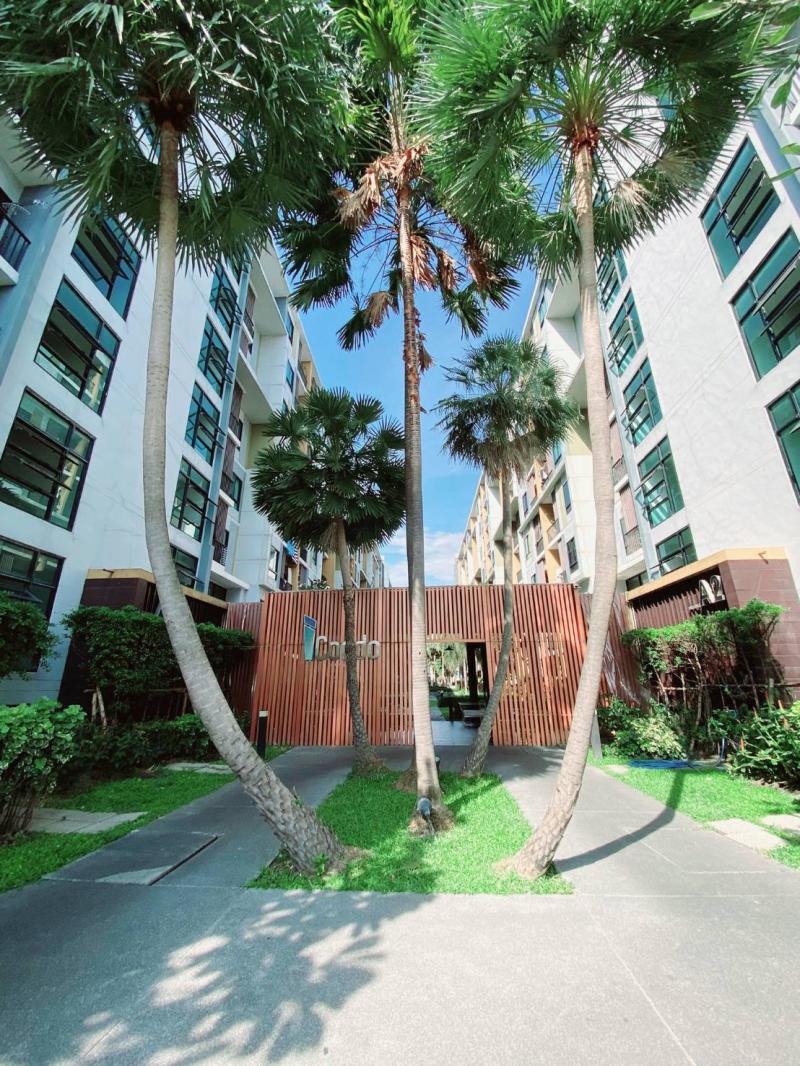 ขายไอคอนโดสุขุมวิท 105ขายคอนโดลาซาลสุขุมวิทรายละเอียด- ขนาดห้อง 29 ตารางเมตร- 1 ห้องนอน 1 ห้องน้ำ- 1 ครัว ระเบียงกว้าง- ชั้น 6 ตึก A2 ห้องติดฝั่งเมืองเฟอร์นิเจอร์ครบพร้อมอยู่- เครื่องปรับอากาศ 2 ตัว- มีตู้เย็น เครื่องซักผ้า ทีวี เครื่องทำน้ำอุ่นส่วนกลาง- ฟิตเนส สระว่ายน้ำ ห้องซักผ้า- ที่จอดรถ และมินิมาร์ทสถานที่ใกล้เคียง- อยู่ติดถ.บางนาตราดและศรีนครินทร์- รร.ลาซาล 600 ม.-