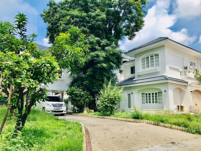  ขายด่วน! บ้านหรู 2หลังติดกัน ในหมู่บ้านลดาวัลย์ ปิ่นเกล้า – บรมราชชนนี  ทำเลศักยภาพ ติดถนนใหญ่ เดินทางสะดวก บ้านสวย พื้นที่กว้างขวาง พร้อมอยู่ ที่ตั้ง: หมู่บ้านลดาวัลย์ ปิ่นเกล้า–บรมราชชนนี เนื้อที่ดิน 185 ตารางวา , 181 ตารางวา พื้นที่ดิน : สีเขียว พื้นที่ใช้สอย 160 ตร.ม. รายละเอียดบ้าน -4 ห้องนอน 4 ห้องน้ำ  -6 ห้องพักแม่บ้าน -1 ห้องครัว -หน้าบ้านทิศใต้ ลมดี แดดไม่ร้อน -เฟอร�