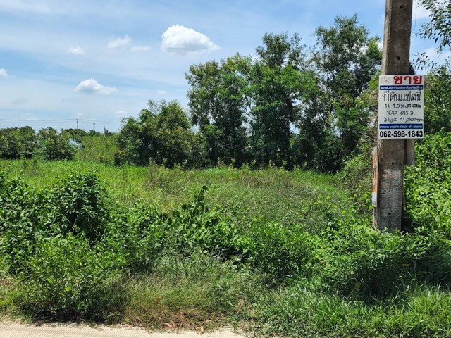 ขายด่วน  ที่ดิน 100  ตร.ว  ขายด่วน 1,000.000 บาท ใกล้ตลาดลาว 58 ไร่   ใกล้ ตลาดไท ตลาดไอยราสถานที่ตั้งซอยคลองสาม 10/3 ถนนคลองสาม ต.คลองสาม อ.คลองหลวง ปทุมธานีซอยคลองสาม, ซอยคลองสาม 10ขนาดพื้นที่100 ตร.วา หน้ากว้าง 14 เมตร ลึก 28 เมตรลักษณะเด่นที่ดิน พร้อมอยู่รายละเอียดขายที่ดินเปล่า แปลงสวย ซ.คลองสาม 10/3ราคา 1,000,000 บาท ราคาถูก เจ้าของเน้นขายเร็วติดต่อ แตง  โทร. 0888 95 6161  ไลน์ : infiniteplusใกล้ วัดพระธ�