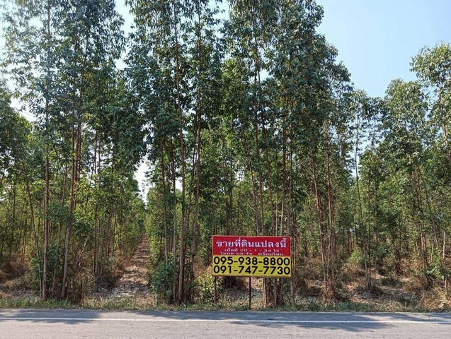 ZSK030ขายที่ดินสวนยูคาลิปตัส  20-1-34 ไร่  วิวภูเขา ที่ตั้ง  ทางหลวงชนบท 4021 ติดถนนบ้านกล้วย - หนองหม้อข้าวต.ป่าหวาย อ.สวนผึ้ง จ.ราชบุรีพื้นที่ 20-1-34 ไร่-รูปแปลงที่ดินสี่เหลี่ยมผืนผ้า -มีบ่อน้ำผ่านหน้าแปลงที่ดิน-วิวภูเขาสถานที่ใกล้เคียง-วัดบ้านกล้วย-โรงเรียนวัดบ้านกล้วย-โรงพยายาลส่งเสริมสุขภาพ-ฟาร์มเอฟเจ ไร่อารมย์ดี-อบต.ป่าหวาย-สถานีวิทยุเวสเทริ์นเรดิโอ จอมบึงเหมาะส�