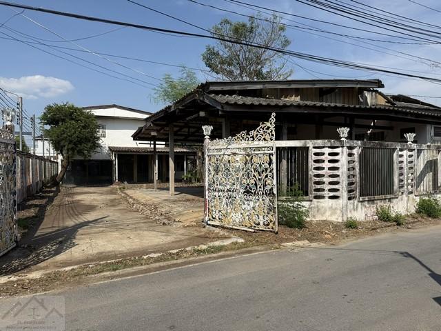 ขายที่ดิน 1 ไร่กว่า พร้อมสิ่งปลูกสร้างบ้าน 2 หลัง ซอยโกสุมรวมใจ 37 ใกล้สนามบินดอนเมืองติดต่อ:: ชยา โทร/ID Line:: 0942823961Link Line:: https://line.me/ti/p/3xFA1An8Kcรหัส# T26-553ที่ดิน พร้อมสิ่งปลูกสร้าง ซอยโกสุมรวมใจ 37 ใกล้สนามบินดอนเมือง• เนื้อที่ 1-0-10 ไร่• หน้ากว้างติดถนน 20 เมตร ยาว 82 เมตรสิ่งปลูกสร้าง• บ้านพักอาศัย 2 ชั้น พื้นที่ใช้สอย 353 ตารางเมตร• บ้านพักอาศัยชั้นเดียว พื้นที่ใช้สอย 144 ตารางเมตรสถานที่ส�