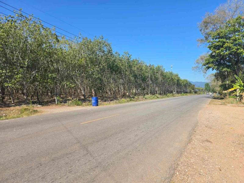 ขายสวนยางผืนใหญ่ ทำเลดี ในตำบลทุ่งควายกิน อ.แกลง จ.ระยองที่ตั้ง : ติดถนนลาดยาง ใกล้สุขุมวิท 3 กม. ตำบลทุ่งควายกิน อ.แกลง จ.ระยองขนาดเนื้อที่ : 80 ไร่ 221 ตารางวา (2 โฉนดติดกัน)รายละเอียดทรัพย์- หน้ากว้างประมาณ 300 เมตร ลึกประมาณ 600 เมตร- สวนยางอายุ 10 ปี พร้อมเก็บผลผลิต- มีบ้านคนงานพร้อมอยู่ 2 หลัง - ติดถนนลาดยาง - รถเข้าออกสะดวก - ไฟฟ้าเข้าถึงหน้าแปลง - โฉนดพร้อมโอน จุดเด่นของท