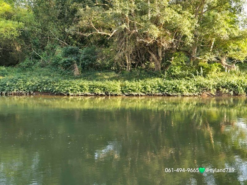 สนใจมาเที่ยวชมโทร ติดต่อ นกได้หลายช่องทางนะคะโทร. 061-494-9665โทร. 063-635-5651 (เบอร์นี้ไลน์เต็มค่ะ)ไลน์ไอดี : @nyland789(ไลน์คลิ๊กแล้วทักมาได้เลยค่ะ) https://lin.ee/R8sP0rj____________________________ที่สวยติดแม่น้ำนครนายก 5 ไร่ 3 งาน 34 ตรว. 30 ล้านลดเหลือ 27 ล้านหรือให้เช่าปีละ 250,000ต.สาริกา อ.เมืองนครนายกน้ำเส้นนี้เป็นน้ำไหลมาจากเขื่อน มีน้ำตลอดทั้งปี ยิ่งฤดูร้อนยิ่งใสสวย เด็กๆลงเล่นน้ำได้ค่ะติดน้ำประมาณ 50 เมตรถน
