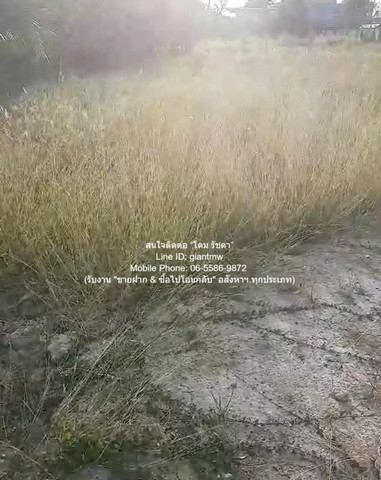 DSL-1248สนใจติดต่อ: โดม รัชดา (Exclusive Contract)โทร: 065-586-9872ไลน์ไอดี: 0655869872 หรือ giantmw หรือ @yem0202nFacebook: https://bit.ly/3vdegO8Fanpage: https://bit.ly/488TrlDพิเศษ: รับซื้อ-ขาย และจัดหารถยนต์มือ 2 ทุกรุ่น & ทุกงบประมาณ.ขายที่ดินเปล่าถมแล้ว 200 ตร.ว. ติดถนนพุทธมณฑลสาย 1 ราคา 30,000,000 บาท (150,000 บาท/ตร.ว.).รายละเอียดทรัพย์: 1. ที่ดินเปล่าแปลงเล็กถมแล้ว (โฉนด) ติดถนนพุทธมณฑลสาย 1 มีเนื้อที่ 200 ตร.ว.2. ขนาดพื้นที่: หน้ากว้าง 18 เมตร (ติดถนน) ลึก 57 เมตร (โดยป