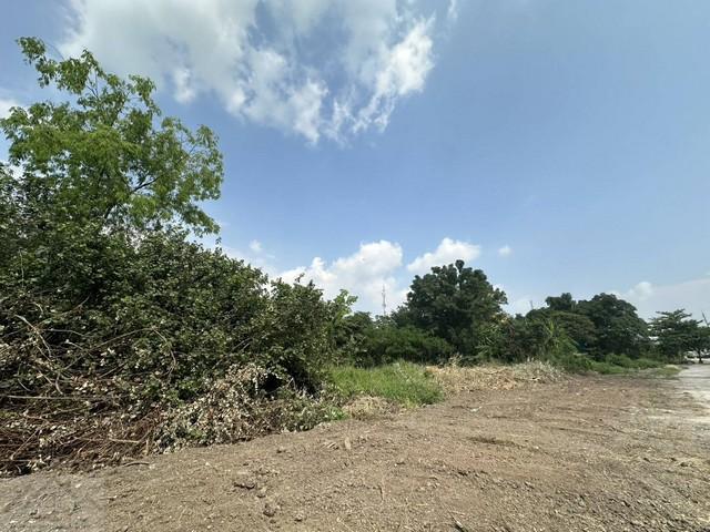 ให้เช่าที่ดิน 10 ไร่ 3 งาน ถนนรามคำแหง ติดแยกสุวินทวงศ์ ใกล้รถไฟฟ้าสายสีชมพู