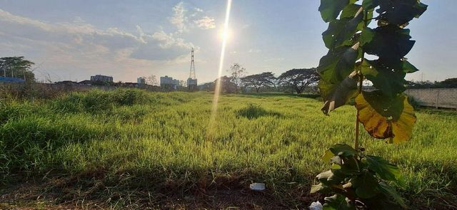 ที่ดินทำเลทอง ขาย 25 ล้าน 2-1-24 ตรว. #สันพระเนตร #สันทราย #ใกล้วงแหวนรอบ2 เพียง 1 นาที ติดรั้วหน้า #กาญจน์กนก23รายละเอียดที่ดิน▪️ ขนาด 2 ไร่ 1 งาน 24 ตร.วา▪️ ราคาเฉลี่ย ~27,000 บาท/ตร.วา▪️ แปลงสวย ทำเลดี เหมาะพัฒนาโครงการราคา 25 ล้านบาท (ต่อรองได้)ทำเลศักยภาพ▪️ ห่างวงแหวนรอบ 2 (แยกแม่คาว) เพียง 1 นาที▪️ เข้าเมืองสะดวก เชื่อมต่อหลายเส้นทาง▪️ ใกล้แหล่งชุมชน หมู่บ้าน และโครงการจัดสรรเห