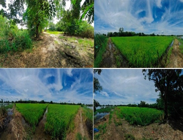   ขาย บ้านเดี่ยว/ทาวน์เฮ้าส์/คอนโด โครงการ  ขาย โกดัง อำเภอลาดบัวหลวง พระนครศรีอยุธยา   ตำบลคลองพระยาบันลือ อำเภอลาดบัวหลวง พระนครศรีอยุธยา  ราคาโปรโมชั่น  124,597,000    บาท    ลดจาก   165,472,000     บาท ราคาโปรโมชั่นตั้งแต่วันที่  13 มีนาคม - 31 พฤษภาคม 2569  รายละเอียดทรัพย์ -  เนื้อที่ 61-1-96  ตารางวา   -  บ้านหันไปทางทิศ  ตะวันออก  พิกัดทรัพย์ : https://maps.app.goo.gl/nSwswSNuD6HRfCSh6  สถานที่ใกล้เคียง   -  สวนน้ำนิวตุ๊ก 3.3  k