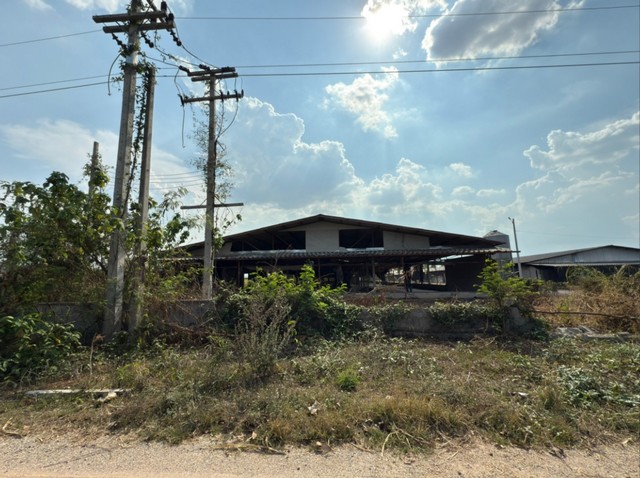  Code ID : PKT-61CC010200211  ราคา   3,595,000    บาท (ราคาต่อรองได้)   -  เนื้อที่ 4-3-74.5 ตร.ว.  - 1 ห้องนอน 1 ห้องน้ำ   - 1 ที่จอดรถ   บ้านหันไปทางทิศ ตะวันออกเฉียงเหนือ   พิกัดทรัพย์ : https://maps.app.goo.gl/cXHzjvv7DyuSfiYY9  สถานที่ใกล้เคียง    - ใกล้โรงพยาบาลส่งเสริมสุขภาพตำบลบ้านยางเกา    - ใกล้โรงเรียนวัดหนองบัว     - ใกล้มินิมาค    สอบถามเพิ่มเติม / นัดชม โทร. 097-419-5982(พลอย) โทร. 096-932-4624(ออมสิน) Line : @panaya (มี@ด้านหน้า)  ปรึกษาสินเชื่อฟรี One Stop Service ดูแลต