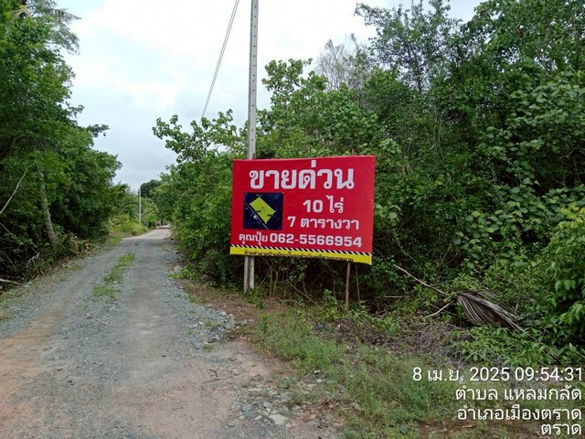 ขายที่ตราด ที่เปล่าแหลมกลัด ที่ใกล้ทะเลติดคลองสนห่างจากทะเล100เมตรต.แหลมกลัด อ.เมืองตราด จ.ตราดผังเมืองสีเขียวเนื้อที่ 10 ไร่ 7 ตารางวาโฉนดปลอดภาระขายไร่ละ 890,000 บาทรวมทั้งหมด 8,900,000 ล้านบาทหน้าที่ดินติดถนนคอนกรีต 6 เมตรห่างทะเล 100 เมตรติดคลองสนหน้ากว้าง 170 เมตรลึก 99 เมตรใกล้หาดมุกแก้ว ใกล้น้ำตกสะพานหินจากตราดไปคลองใหญ่ถึงหาดเล็กชายแดนกัมพูชาเป็นถนน4เลนที่ดินอ�