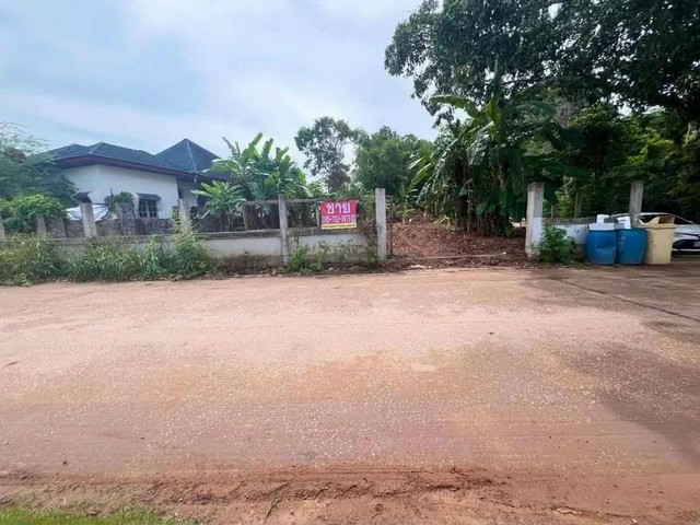 ขายที่ดิน ทะเล ระยอง ตรงข้าม Sunflower Residence มีเพื่อนบ้าน ใกล้  ร้านอาหารริมทะเล เซเว่นหน้าปากซอย  หาดแหลมแม่พิมพ์ขายที่ดิน 217 ตรว.   ใกล้ หาดแหลมแม่พิมพ์ 500 ม.ความสะดวกสบายครบครัน ไม่เปลี่ยว ไม่เหงา มีเพื่อนบ้าน .แปลงที่ดิน อยู่ตรงข้าม Sunflower Residence , มีเพื่อนบ้าน ใกล้  ร้านอาหารริมทะเล เซเว่นหน้าปากซอย เหมาะทำบ้านพักตากอากาศ หรือ ลงทุน ซื้อเก็บ ฯ__________________พิกัด: ถนนเลียบทะเล 3145 ซ�