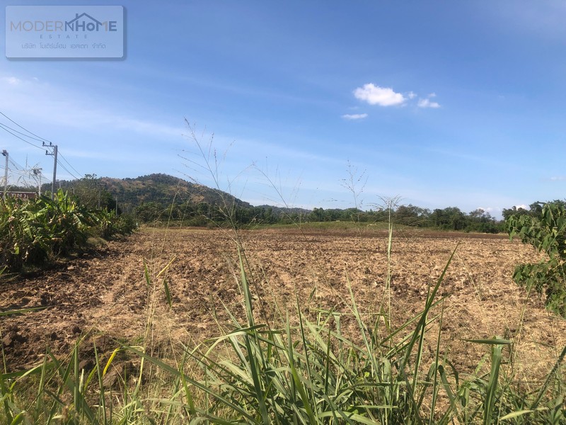 ขายที่ดิน 69 ไร่ ตำบลนาเฉลียง อำเภอหนองไผ่ เพชรบูรณ์ติดถนนหมายเลข 21 (สระบุรี-หล่มสัก) กม.170 หน้ากว้างติดถนนประมาณ 350 เมตรลึกประมาณ 433 เมตร เหมาะทำหมู่บ้านจัดสรร โกดังเก็บสินค้า ปั้มน้ำมัน รีสอร์ท หรือจัดสรร เเล้วแบ่งขาย เอกสารสิทธิ์เป็นโฉนด (นส.4) ทำเลดี อยู่ติดกับ วิทยาลัยเทคโนโลยีบริหารธุรกิจหนองไผ่**ใกล้สถานที่**- โรงเรียนหนองไผ่- ที่ว่าการอำเภอหนองไผ่- เทสโก้ �