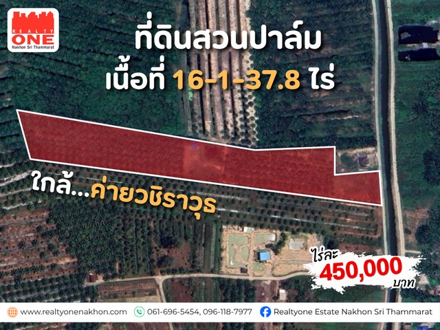 สวนปาล์มพร้อมผลผลิต แปลงใหญ่ ใกล้ค่ายวชิราวุธสวนปาล์มปลูกแล้ว พร้อมดูแลต่อได้ทันที มีผลผลิตต่อเนื่อง ไม่ได้ขายแค่ที่ดิน…แต่ขาย “รายได้ที่เก็บเกี่ยวได้จริง” เนื้อที่ 16-1-37.8 ไร่พื้นที่ปลูกปาล์มประมาณ 13 ไร่อายุปาล์มประมาณ 8 ปีพันธุ์ โกลเด้นเทเนอร่าผลผลิต 3.2 – 3.7 ตัน / รอบผลผลิตรวมเฉลี่ย เดือนละ 6 – 8 ตันไร่ละ 450,000 บาท เท่านั้น ทำเลดี เดินทางสะดวกใกล้แหล่งชุมชน และ�